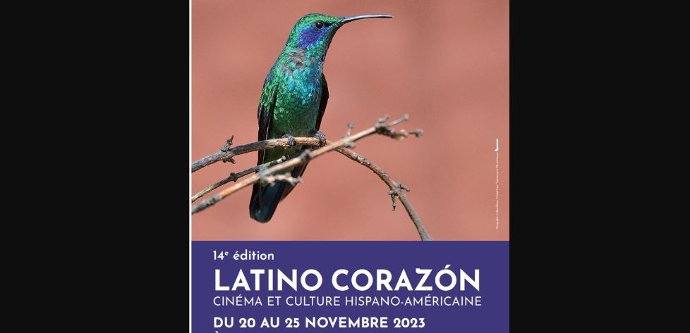 Festival latino corazón
