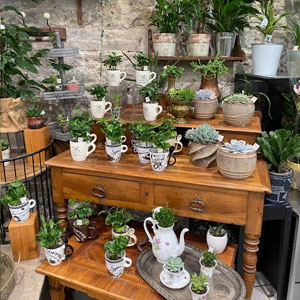 Fleuriste à Besançon - Offrez des fleurs !