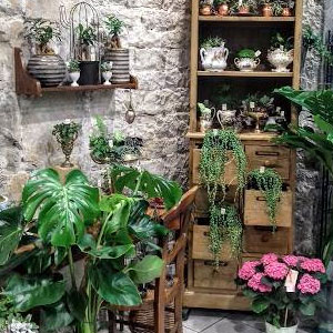 Fleuriste à Besançon - Offrez des fleurs !