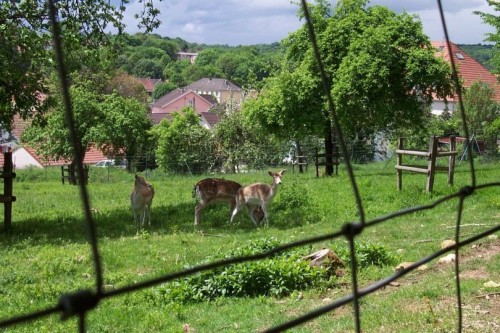 PARC FRANCIS BéDAT