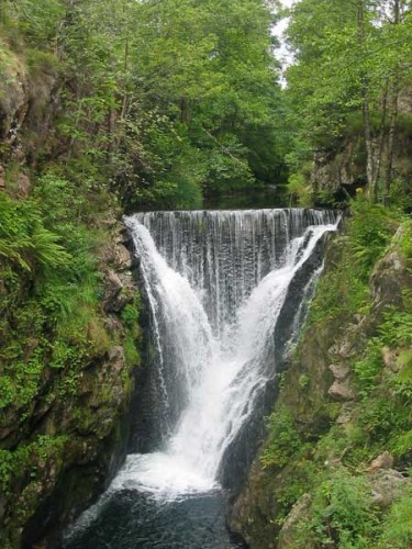 SAUT DE L'OGNON